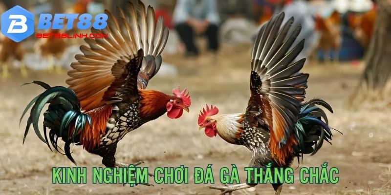 Kinh nghiệm chơi game hiệu quả, đảm bảo thắng chắc